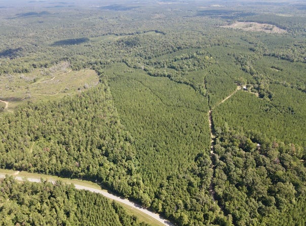 Walker Springs Road, Tract C, Jackson, AL 36545