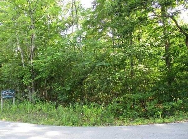 Lot 12 Red Cloud Road, Ten Mile, TN 37880