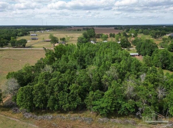 Parcel B 2000 Molino Rd, Molino, FL 32577
