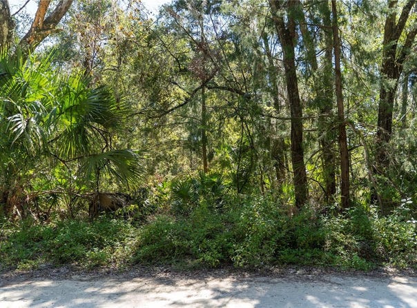 NE 358TH AVE, OLD TOWN, FL 32680