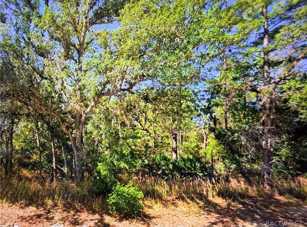 2722 W Pine Ridge Boulevard, Beverly Hills, FL 34465