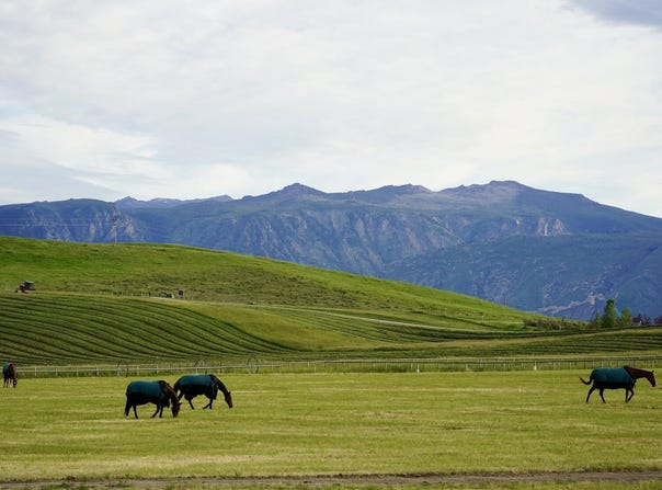 218 McCormick Road, Sheridan, WY 82801