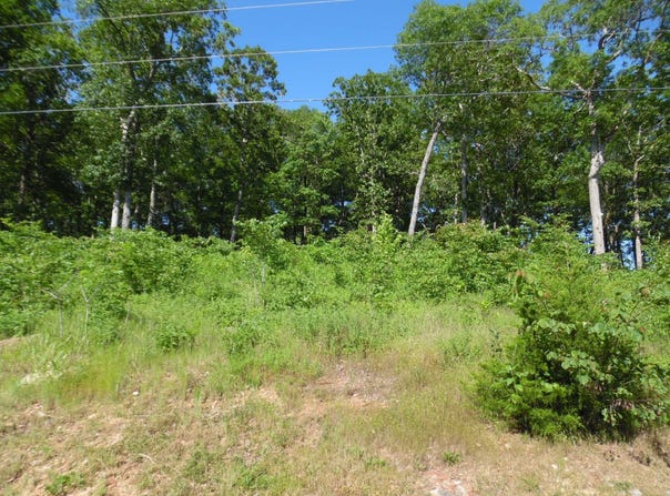 83-85 ADAM Loop, Bath Springs, TN 38311