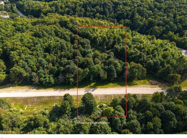 Lot #2 E Bellinger Road, Cedar, MI 49621
