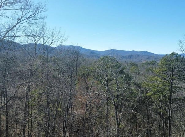 Hornet, Whittier, NC 28789