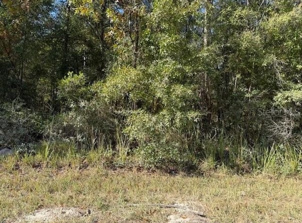 108TH Avenue NE, BRONSON, FL 32621