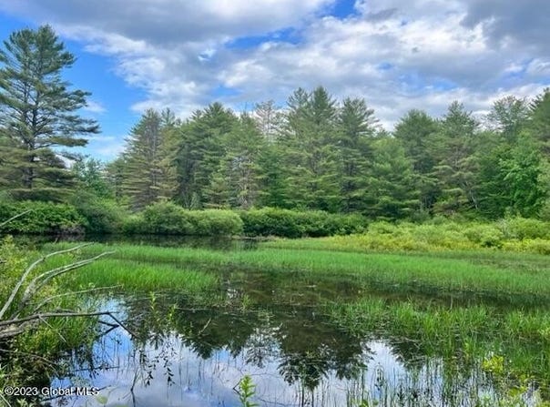 Lot 3 McGregor Road, Johnstown, NY 12078
