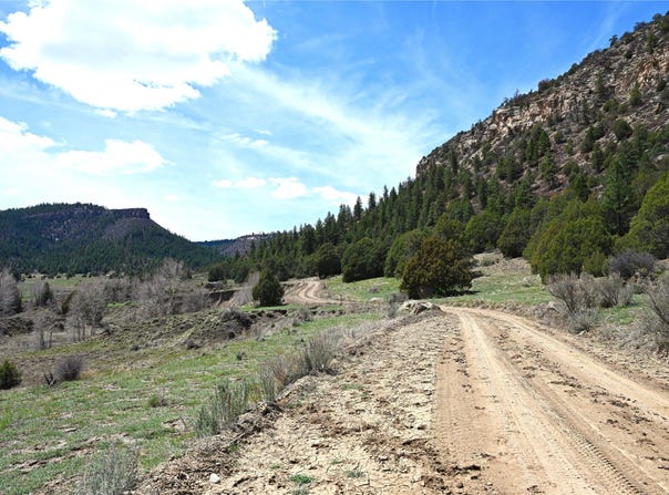 Tbd CR 352, Lumberton, NM 87528