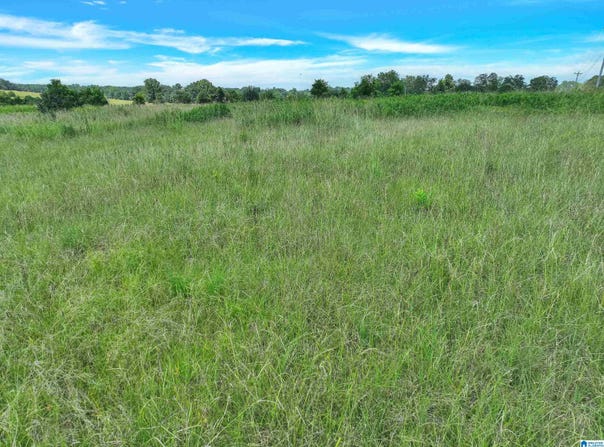 0 HIGHWAY 191, JEMISON, AL 35085
