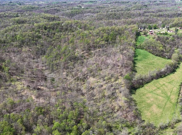 59900  Ramsey Ridge Road, Jacobsburg, OH 43933