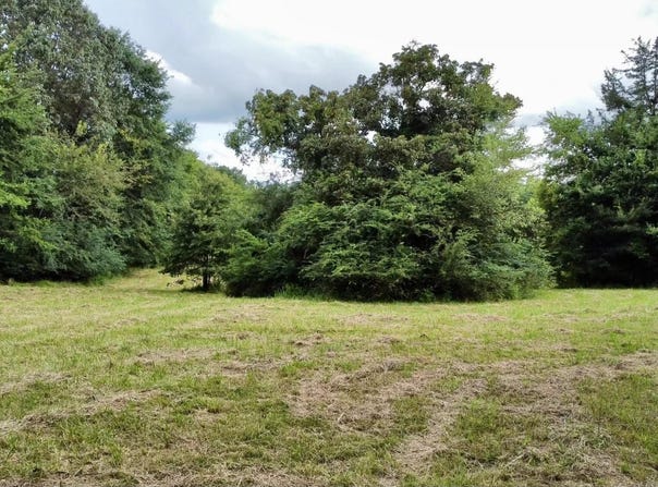 Anderson Circle, Henderson, TN 38340