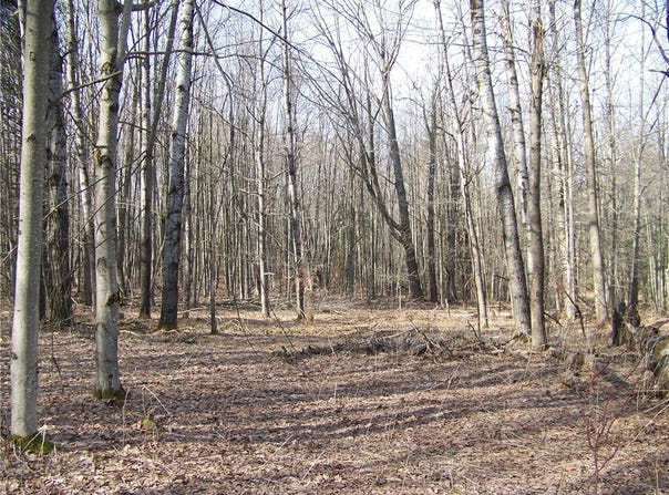 191 West Extension, Laurens, NY 13820
