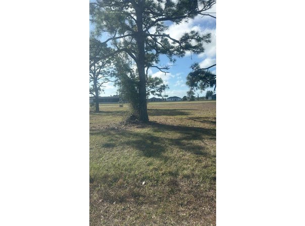 19 CARLINE Lane, PLACIDA, FL 33946