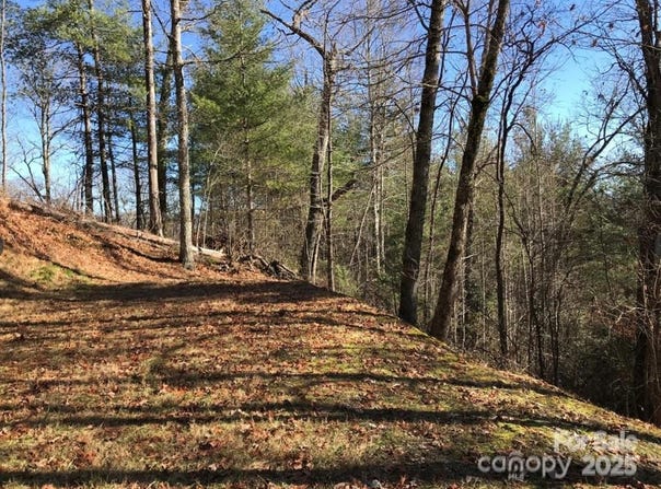 Saturn Way, Topton, NC 28781