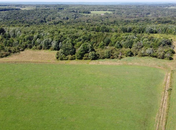 26215 Shreve Ridge Rd, Union City, PA 16438