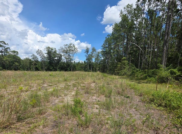 COUNTY ROAD 108 lot: 64, Hilliard, FL 32046