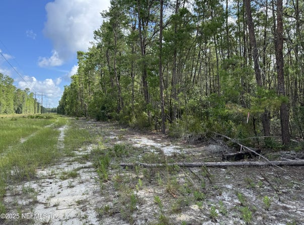 HANKLEY LAKE Trail, Hawthorne, FL 32640