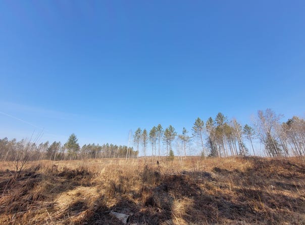 Near KNOWLES RD, Loretta, WI 54896