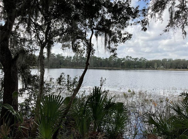 Tbd Lot 51 MALAUKA RADIAL, OCKLAWAHA, FL 32179