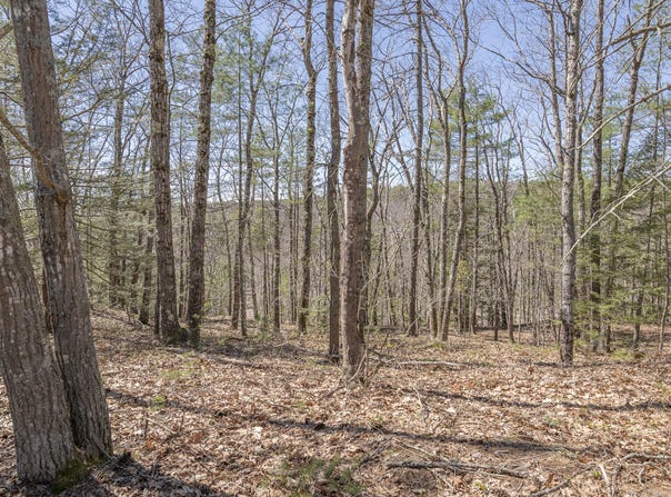 Ridge Road lot: 2, Bath, ME 04530
