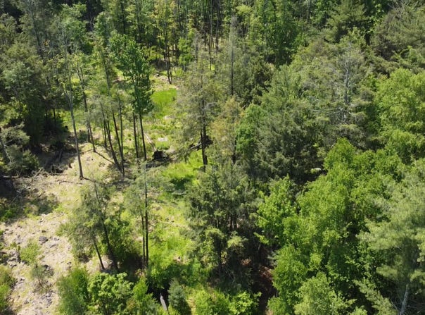 Crane Road, Lakeville, PA 18438