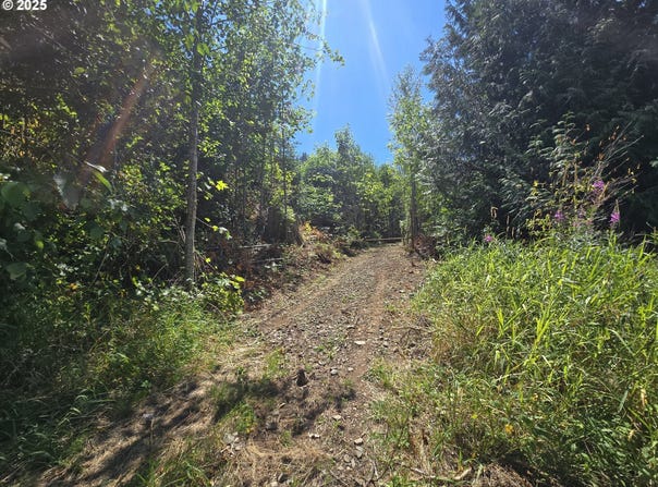 0 HIGHLAND VALLEY RD, Morton, WA 98356