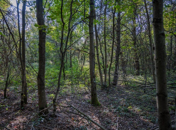 Lot 4 20th Street, Necedah, WI 54646