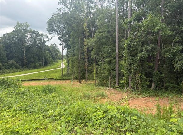 1680 Kilcrease Road, Bethlehem, GA 30620