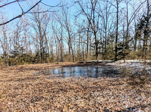 Lot 202 Forest Lake Drive, Branson West, MO 65737