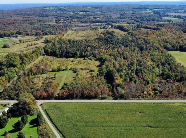 Flucker Hill Road, Forestville, NY 14138