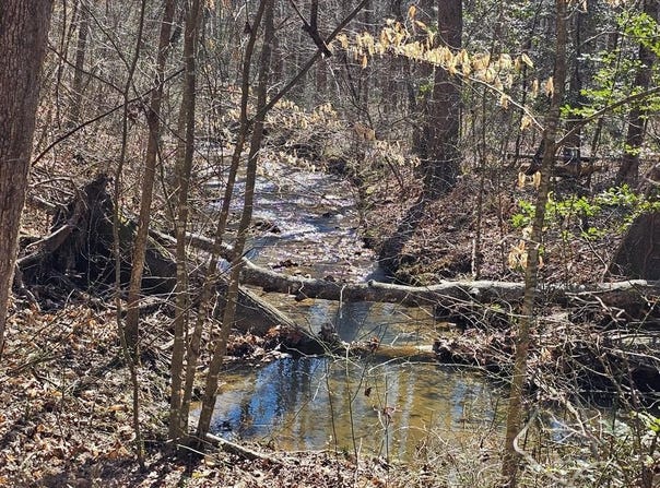 Lot 26 Oak Ridge Way, Ellijay, GA 30536