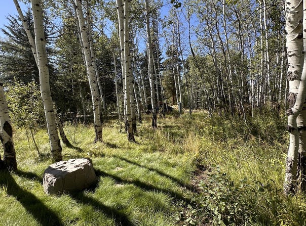 6190 Diamond Dell Circle, Kamas, UT 84036