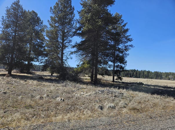 Longhorn Loop, Chiloquin, OR 97624