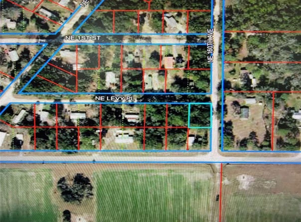Lot 19 NE LEVY PLACE, WILLISTON, FL 32696