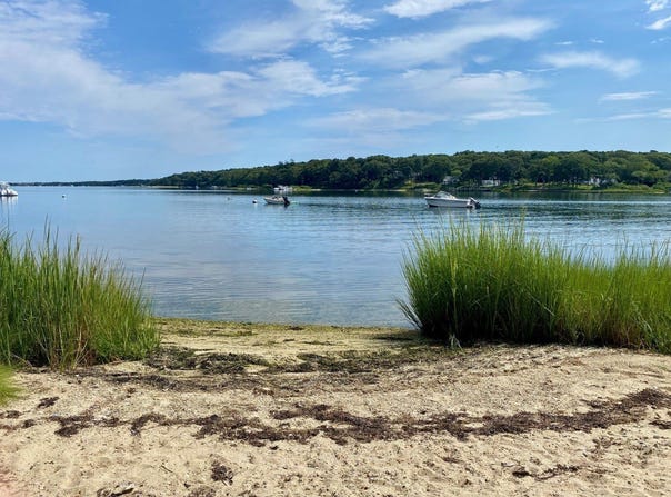 126 Border Road, Vineyard Haven, MA 02568