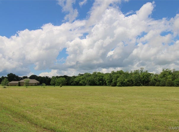 38 S Farm View Lane, Pike Road, AL 36064