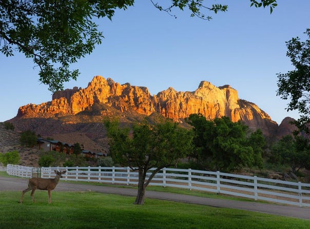 2428 Zion Park Blvd, Springdale, UT 84767