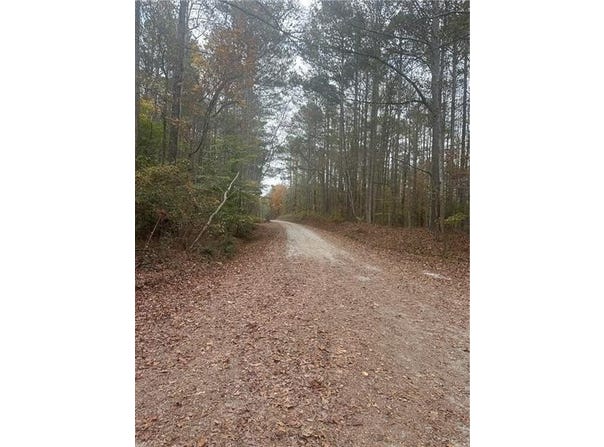 9905 BRAZELL Road, Palmetto, GA 30268