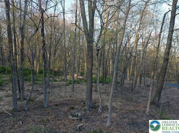2445 Larkspur Drive unit: 71, Stroud Twp, PA 18360