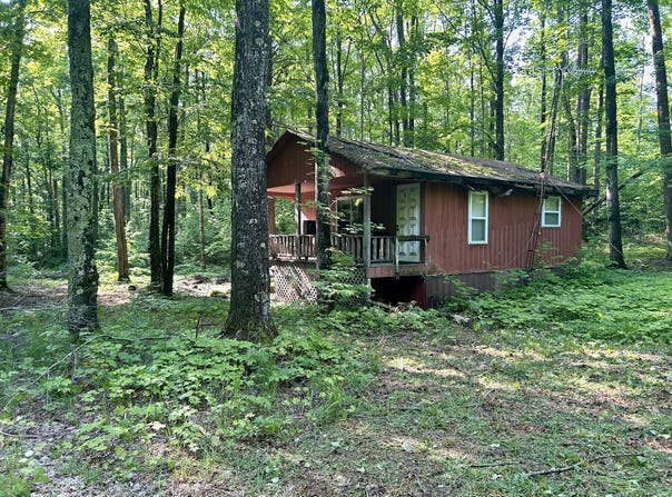 4983 Blackberry Lane, Elmira, MI 49730