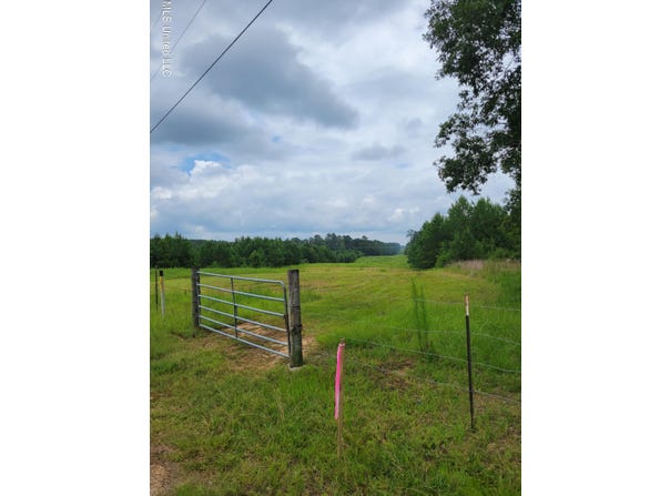 Highway 13, Oak Vale, MS 39656