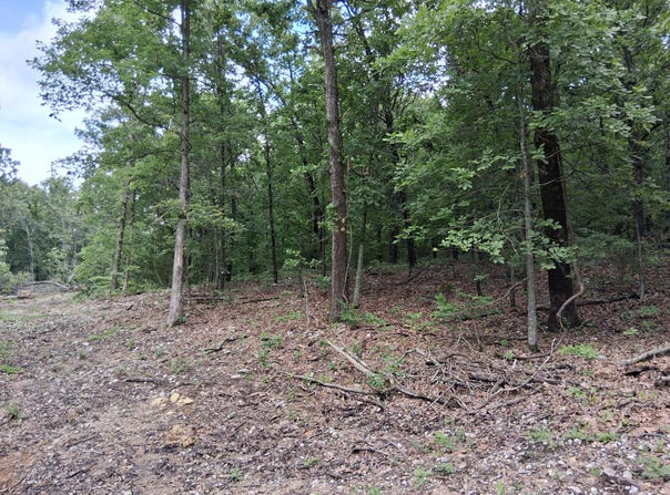 Tbd County Road 350, Dora, MO 65637