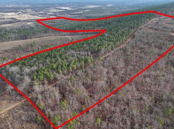 Broomfield Road, Waldron, AR 72958