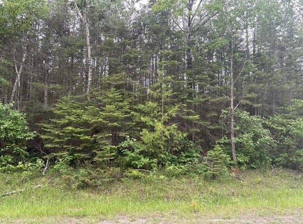 N Bayshore Drive lot: 271, Presque Isle, MI 49777