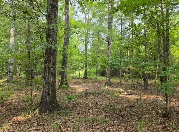 YC Nichols Rd, Lowndesboro, AL 36752