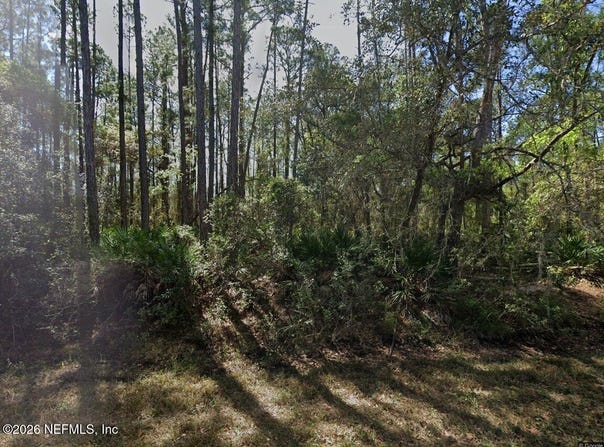 213 TERRI AVE, Georgetown, FL 32139