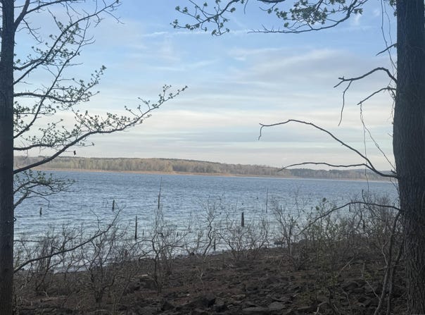 525 E Shore Drive, Drasco, AR 72530