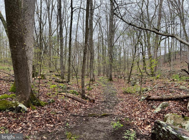 SERFAS DRIVE, STROUDSBURG, PA 18360