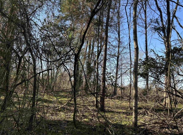 CR 3324, Pittsburg, TX 75686