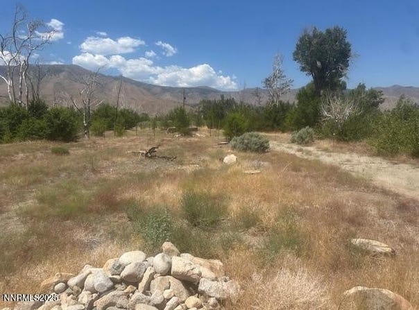 105 E Side Lane, Coleville, CA 96107